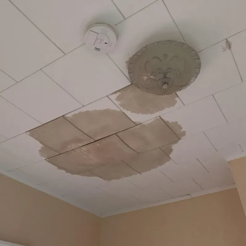 Ceiling Water Damage Repair in Tysons Corner, VA