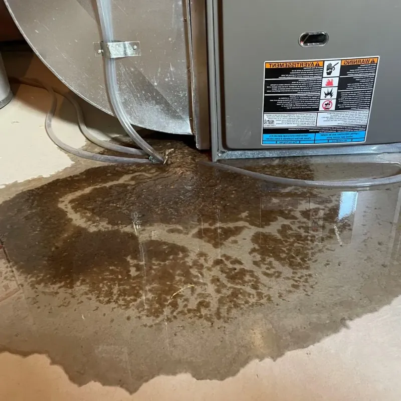 Pipe Burst and Leak Restoration in Tysons Corner, VA